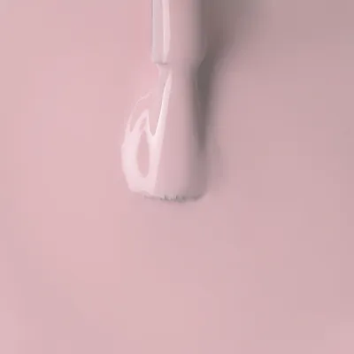 ART NAIL №009 "КЛАССИЧЕСКИЙ" 10 гр.